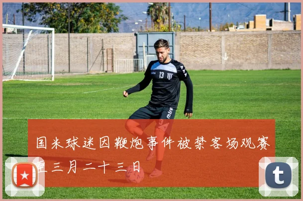 国米球迷因鞭炮事件被禁客场观赛至三月二十三日